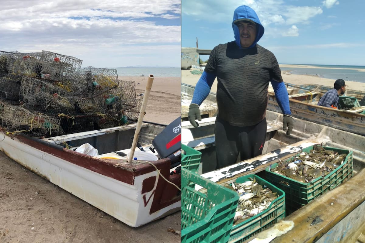 Arrancan “jaiberos” temporada de pesca en la Bahía San Jorge