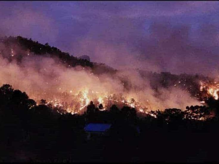 Preocupa incendio forestal en Yécora a ganaderos de la zona