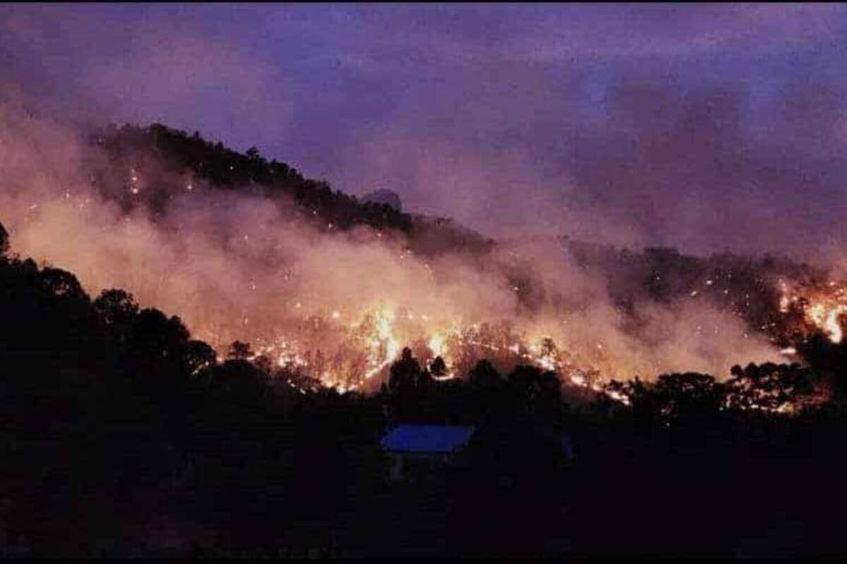 Preocupa incendio forestal en Yécora a ganaderos de la zona