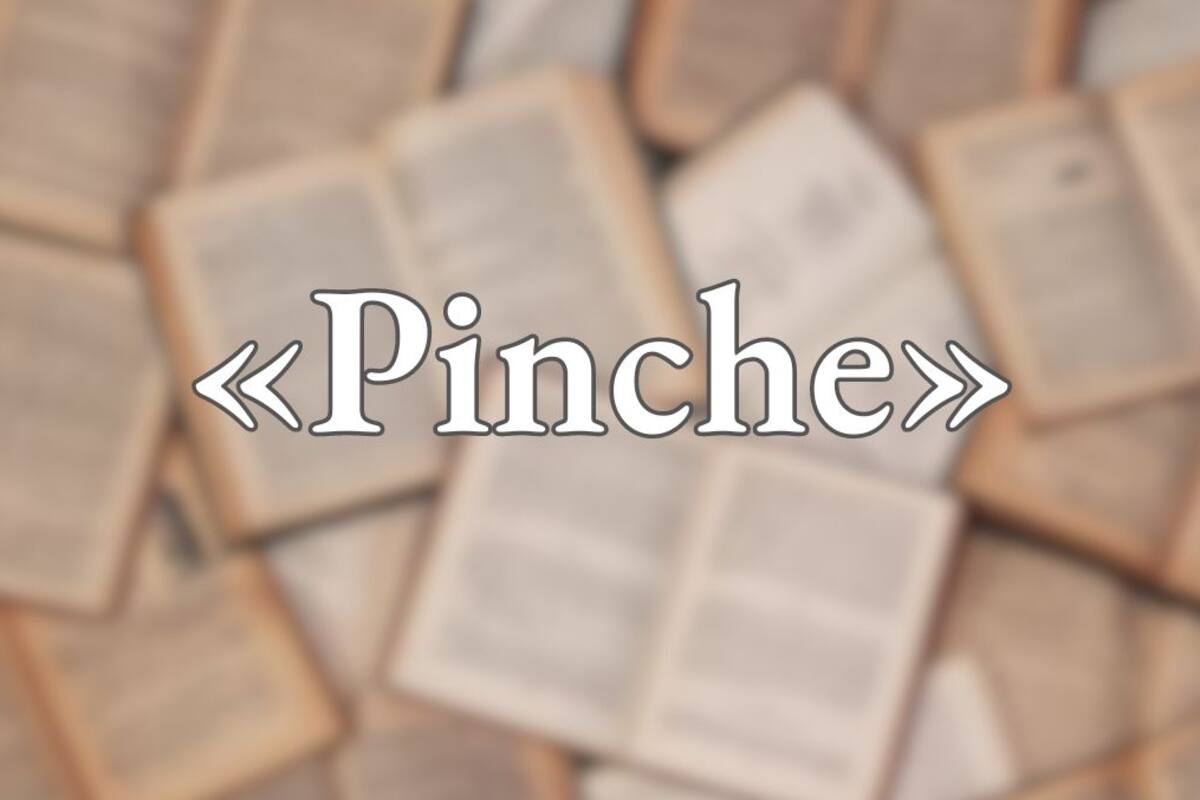 ¿Cuál es el origen de la palabra “pinche” y cómo se transformó en un insulto en México y otros países de Latinoamérica?