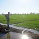 Sequía no ha afectado riego en campos agrícolas de Sonora: Aoans