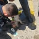 Detienen a hombre por maltrato animal tras dejar a cachorro en auto bajo intenso calor