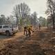 Incendios forestales en Yécora arrasan más de 620 hectáreas