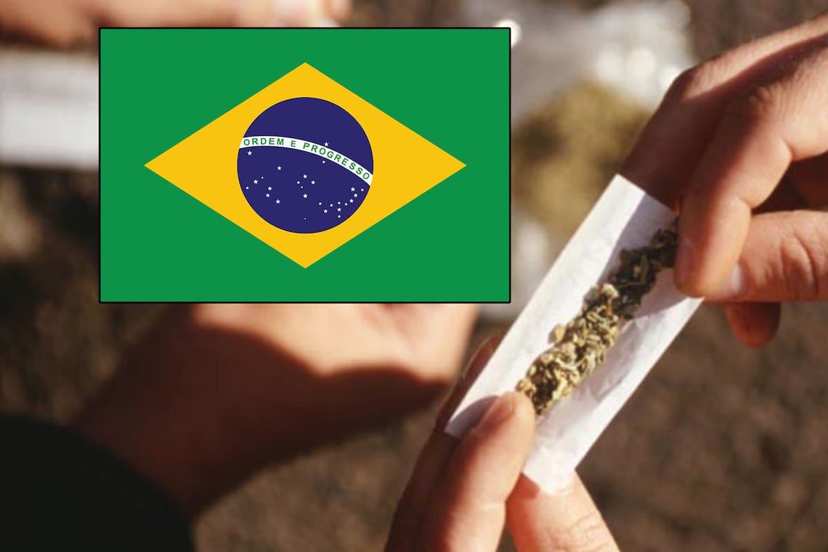 ¿Sin límite? Brasil despenaliza mariguana para uso personal; esto se sabe
