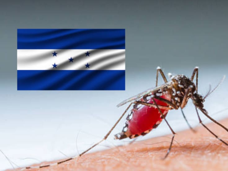 Un total de 61 muertes en Honduras por dengue en lo que va del año