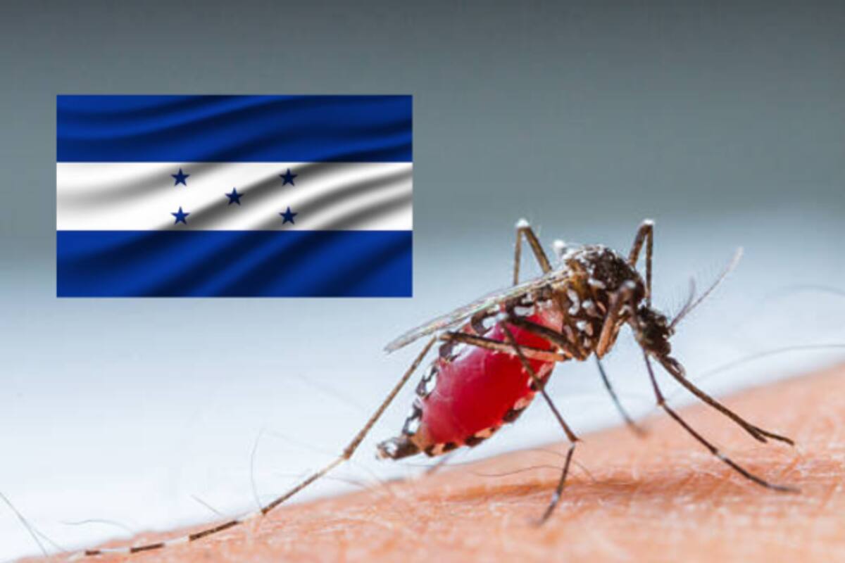 Un total de 61 muertes en Honduras por dengue en lo que va del año