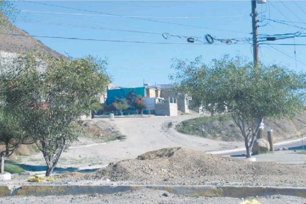 Incumple Tijuana con mínimo de áreas verdes