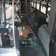 Ciervo impacta contra autobús en Rhode Island