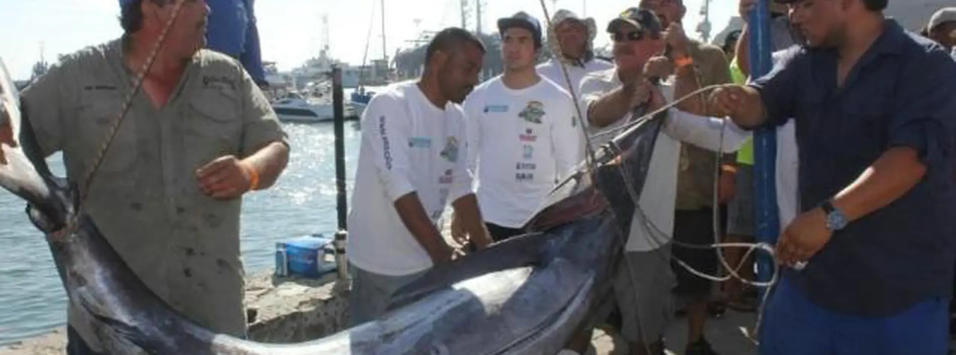 Solventarán carnada para pesca deportiva, Noticias de Tijuana